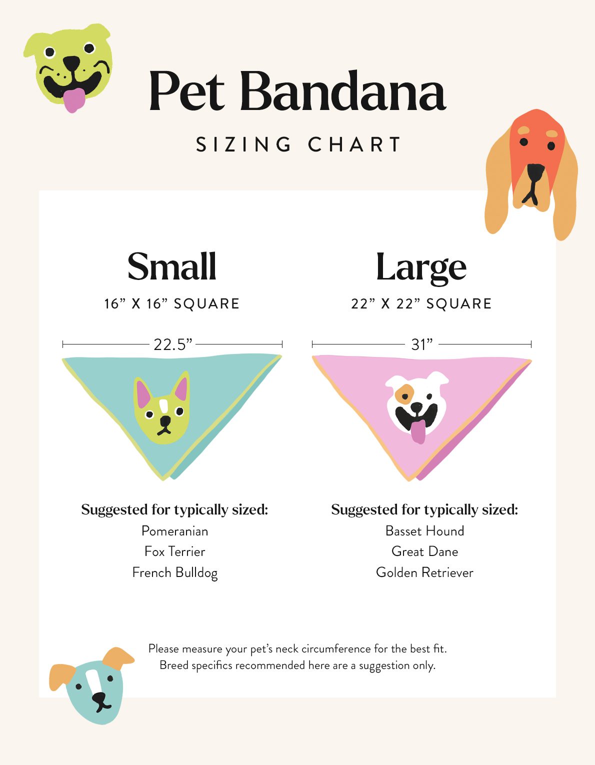 Pet Bandana | Rainbow Daisy
